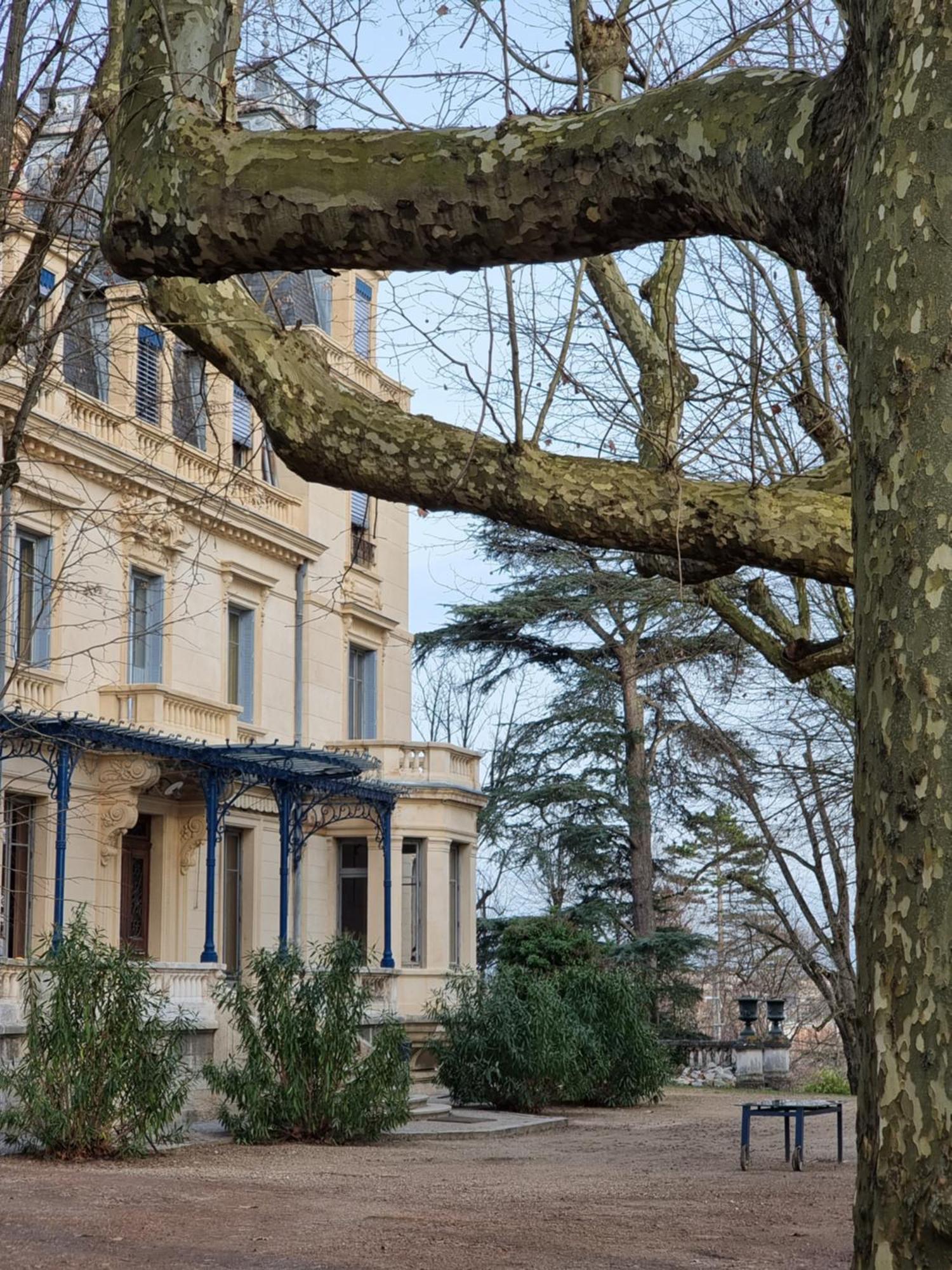 Hotel-Musee Villa Bagatelle Irigny Exterior foto
